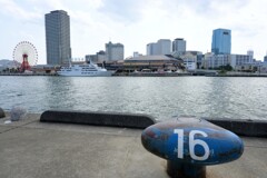 No.16