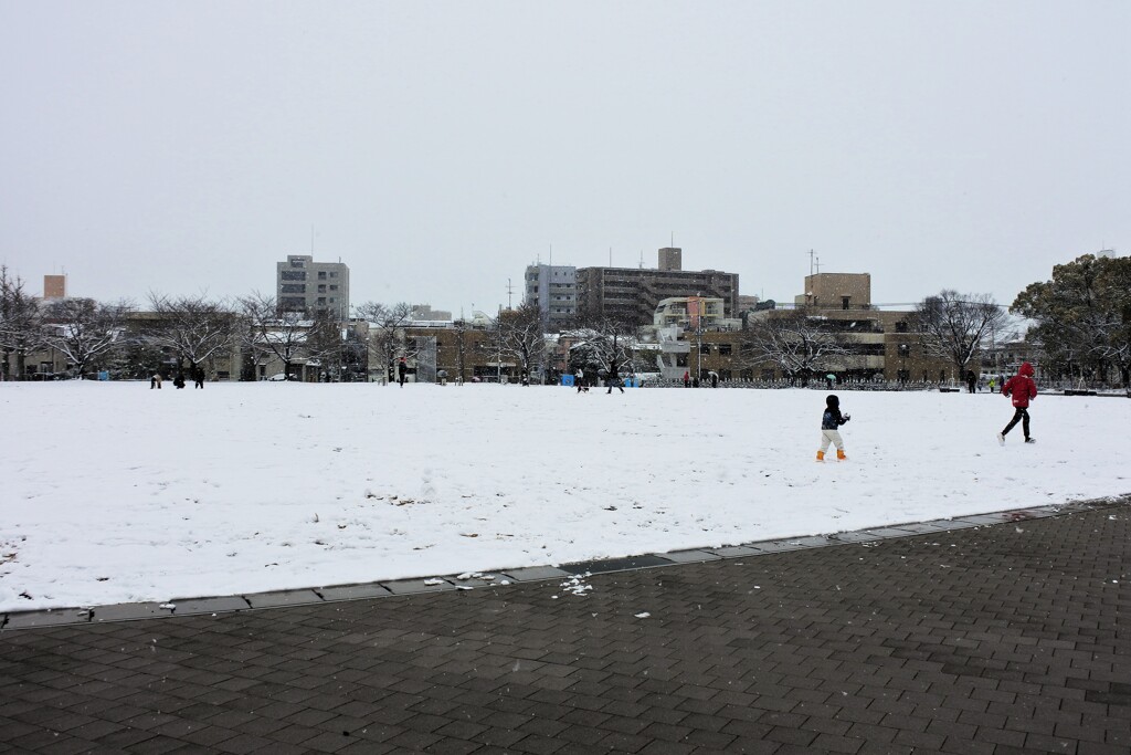雪の中の公園で遊ぶ