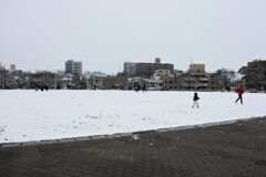 雪の中の公園で遊ぶ