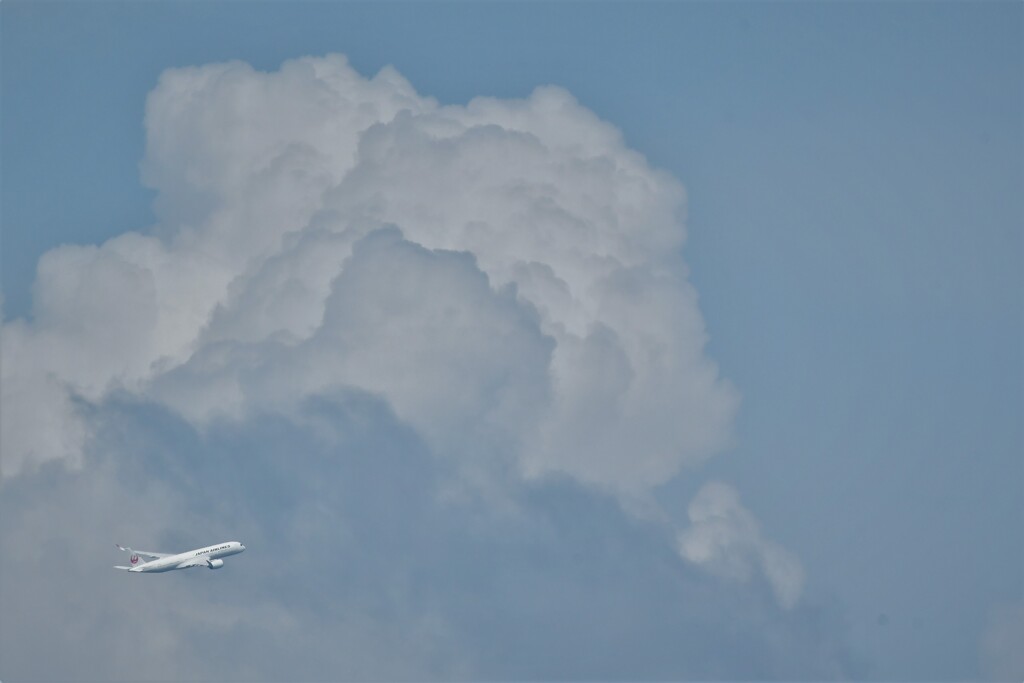 雲を迂回して・・・