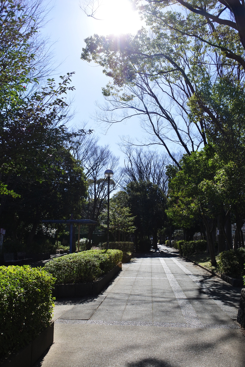 午前中のまったり