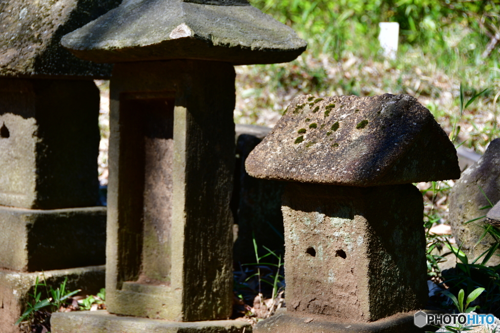 はる・・・来たねぇ~