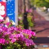 朝の休日の・・・バス停