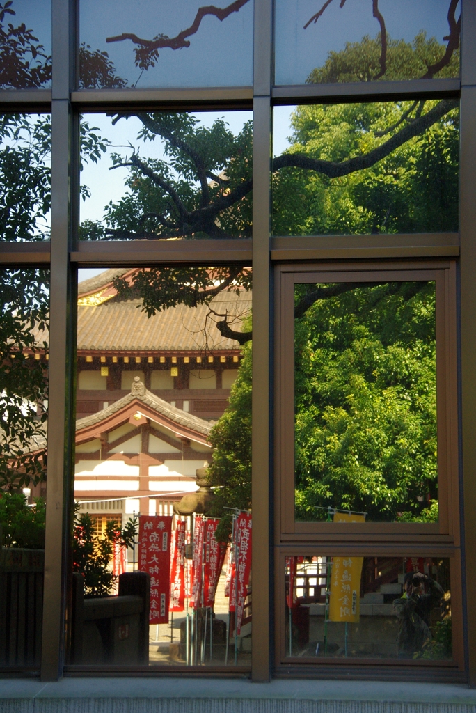いまの秋を写す・・・と、