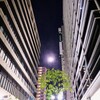 深夜散歩（お月さん）