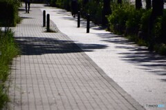 あさの散歩道