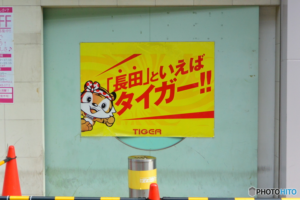 タイガー！！