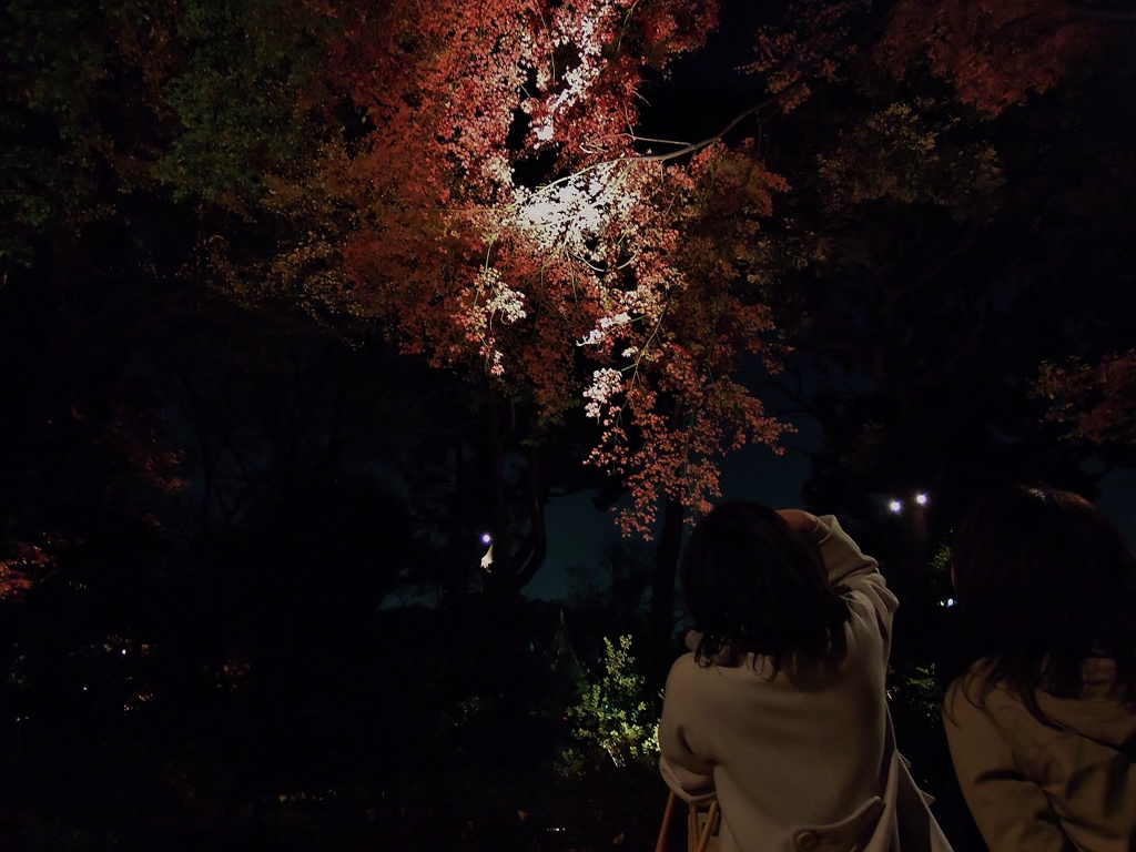 ”Photography society of the night early 