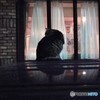 パジェロミニの上に、もふもふ!(^^)!