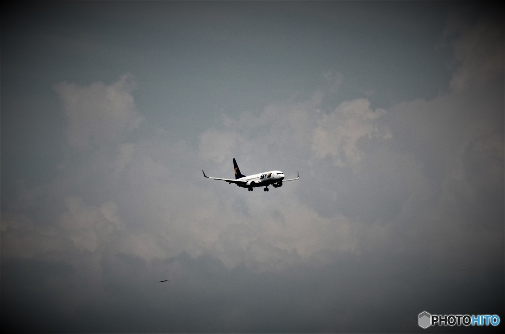 1plane of scope