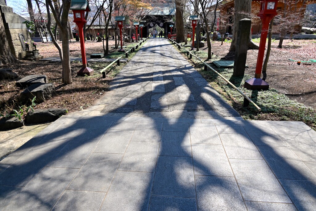 木陰