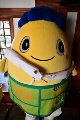 きゅっぽん