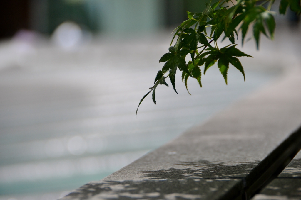 涼を求めて