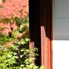 もみじと障子