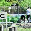 C組のクラスメイト