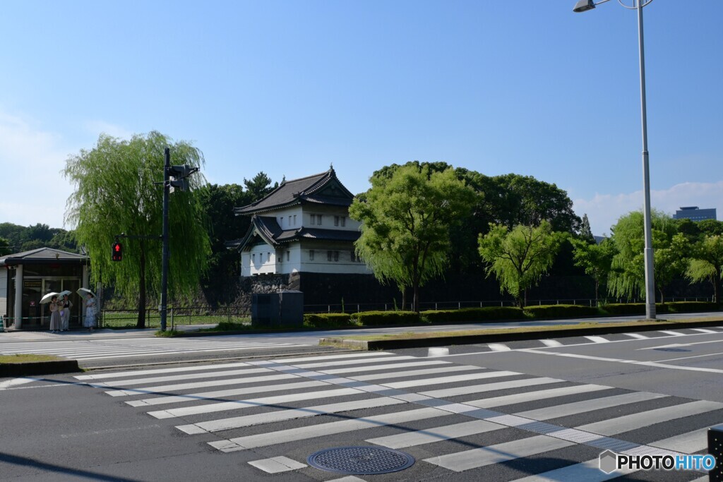 真夏の横断歩道