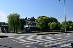 真夏の横断歩道