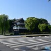 真夏の横断歩道