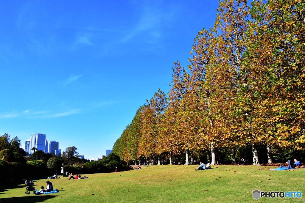 新宿のPark・・・