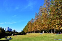 新宿のPark・・・