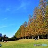 新宿のPark・・・