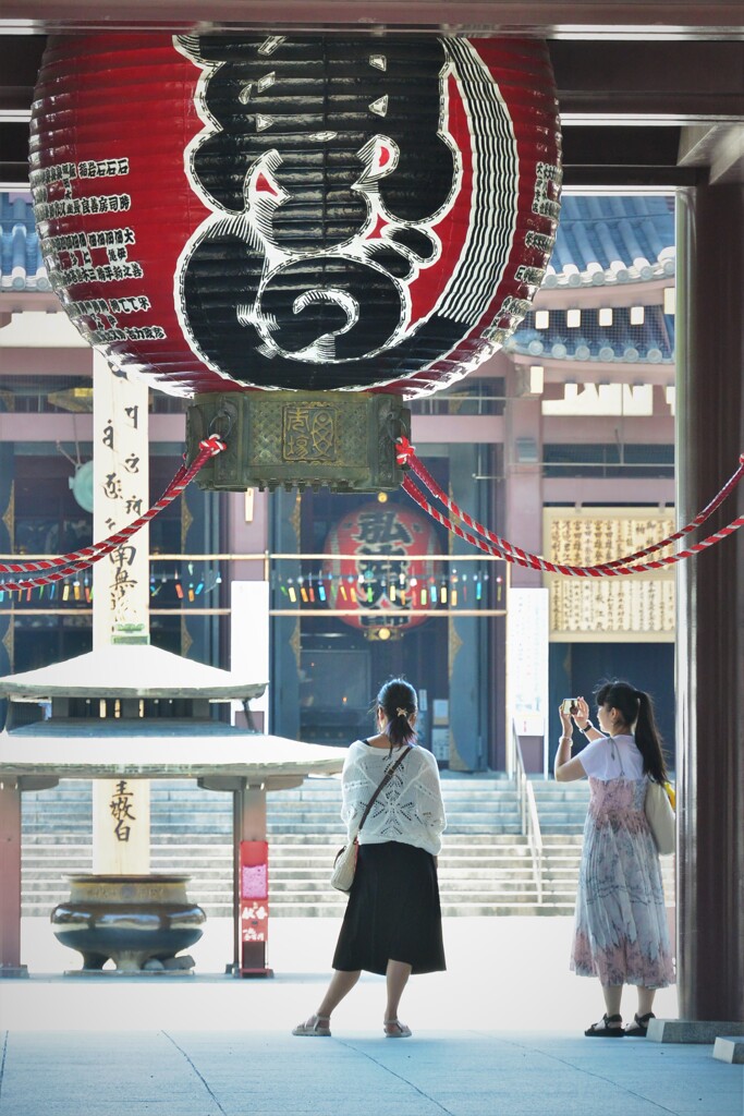 初夏の参拝・・・