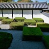 十一月の京・・・