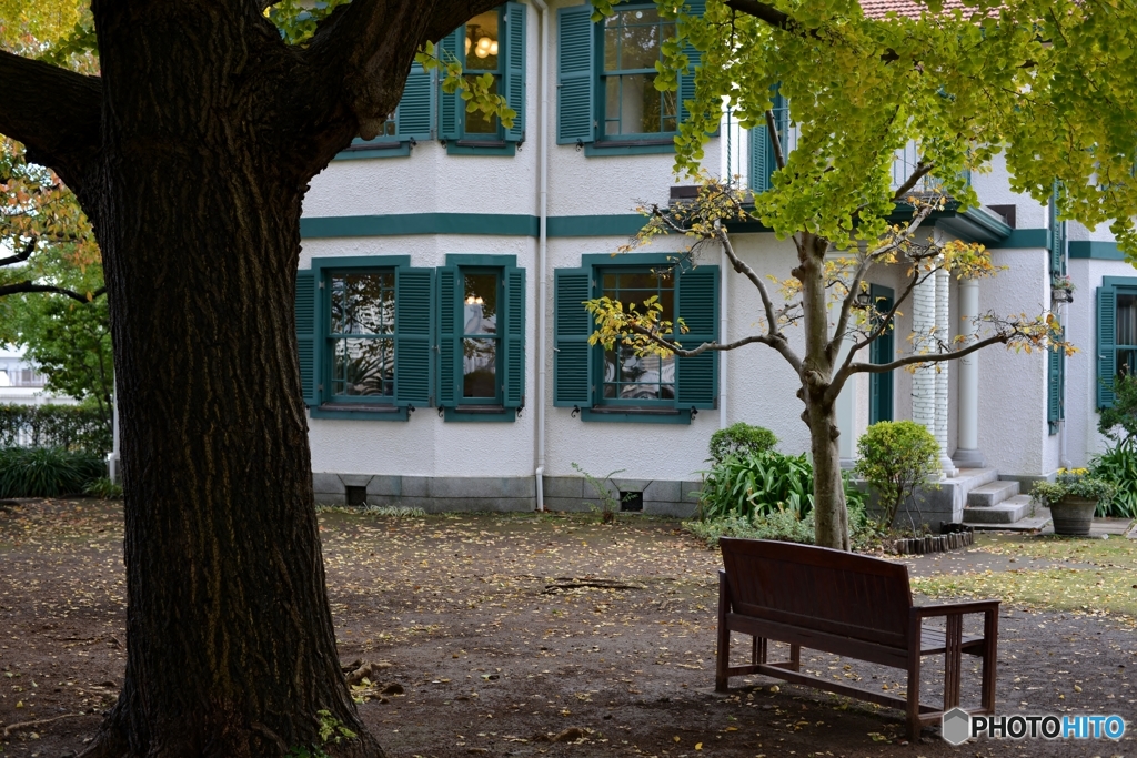 秋・・・しています。