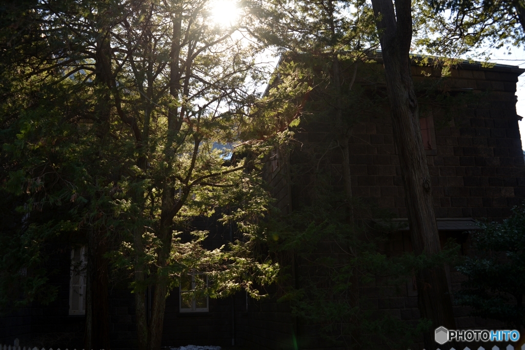 木洩れ日の中の洋館