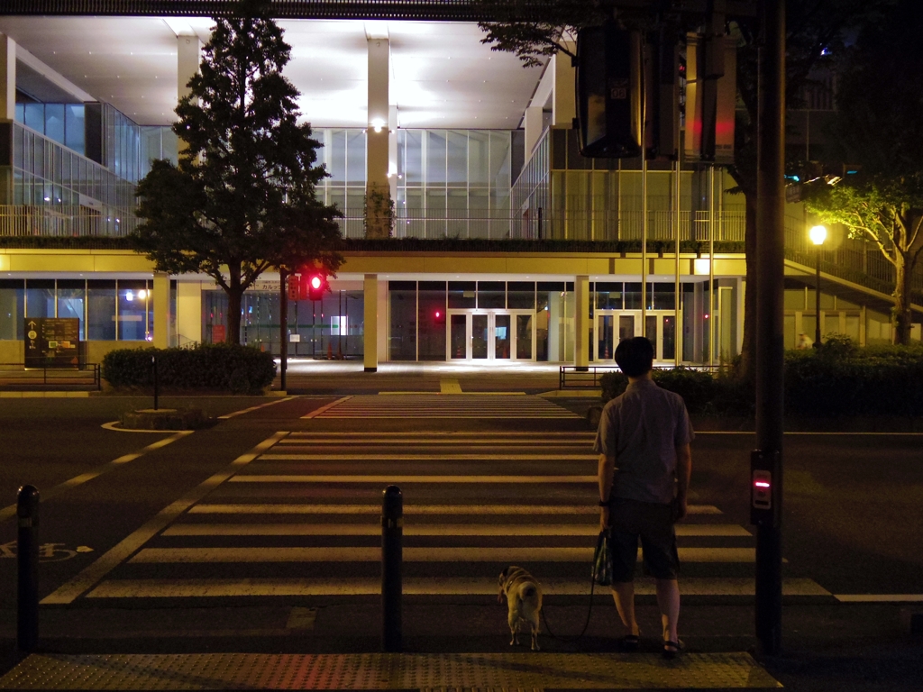 夜のお散歩