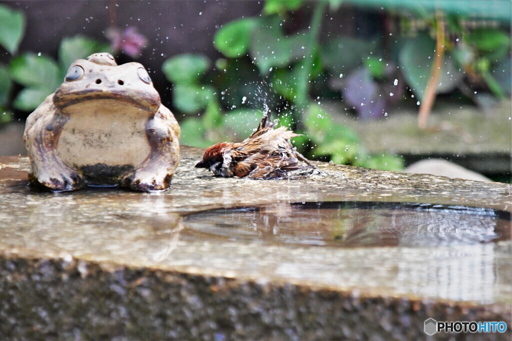 おいおいおい、銭湯で練習すんな！
