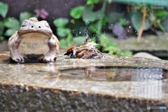 おいおいおい、銭湯で練習すんな！