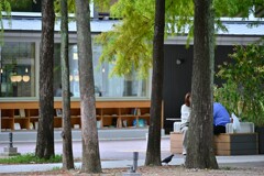 lunch in a garden