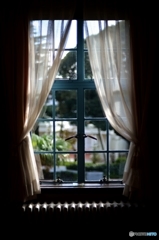 窓・・・（秋風が見える）