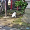 氏子さんですか？