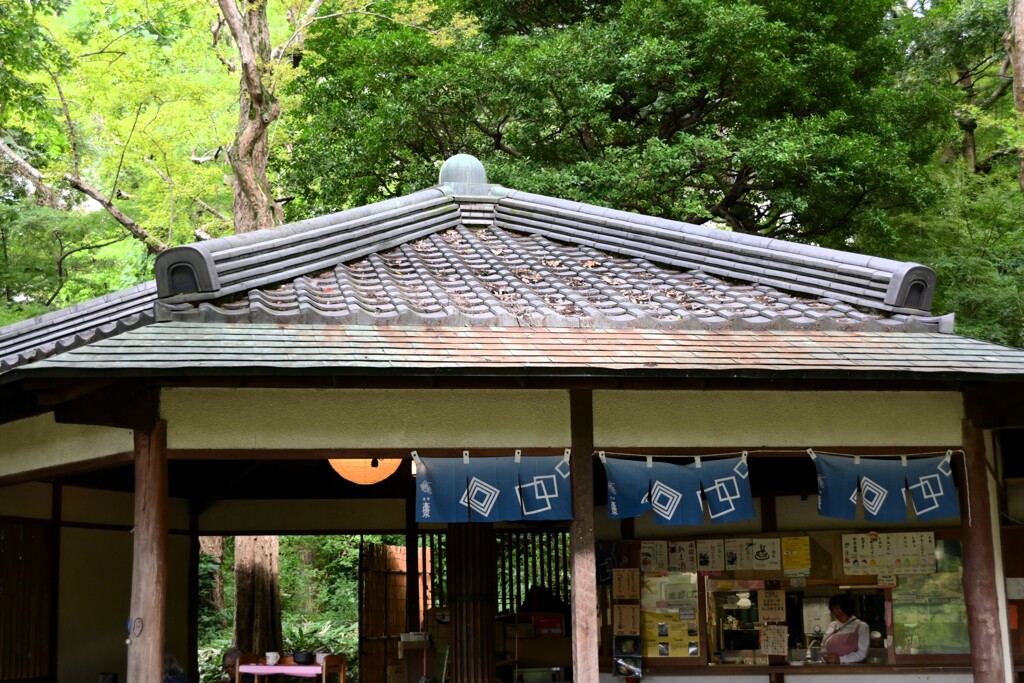 秋をさがして・・・(お店)