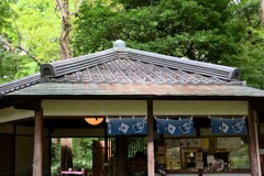 秋をさがして・・・(お店)