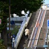 歩道橋の階段で・・・