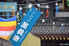 あおい風鈴市