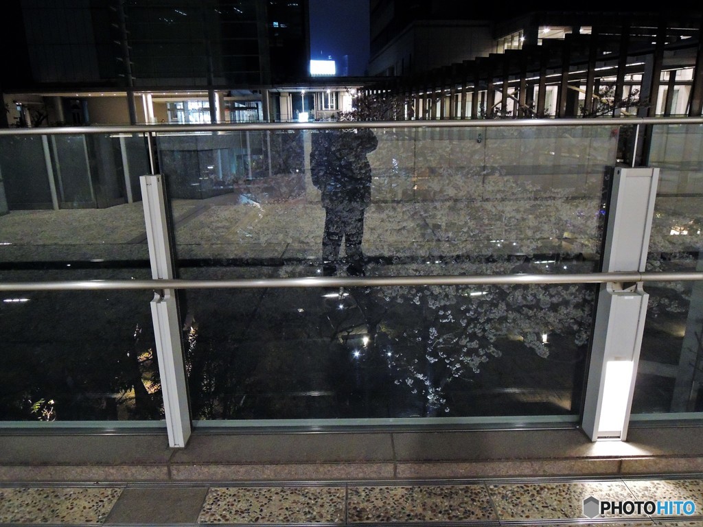 てすりを・・・