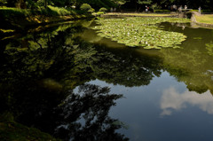 碧空