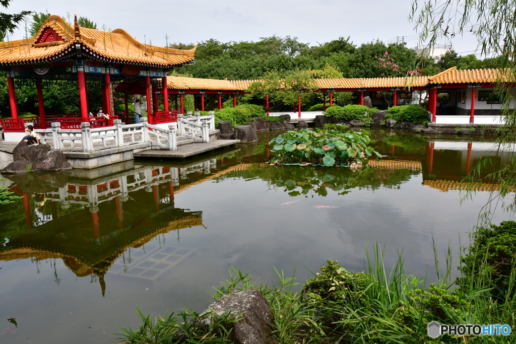 今日の・・・China‐Garden