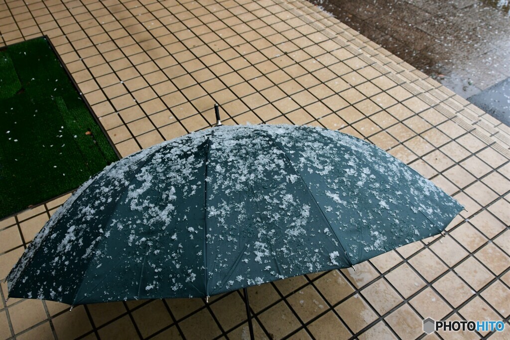 今日の雪・・・模様