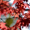 春なのに・・・