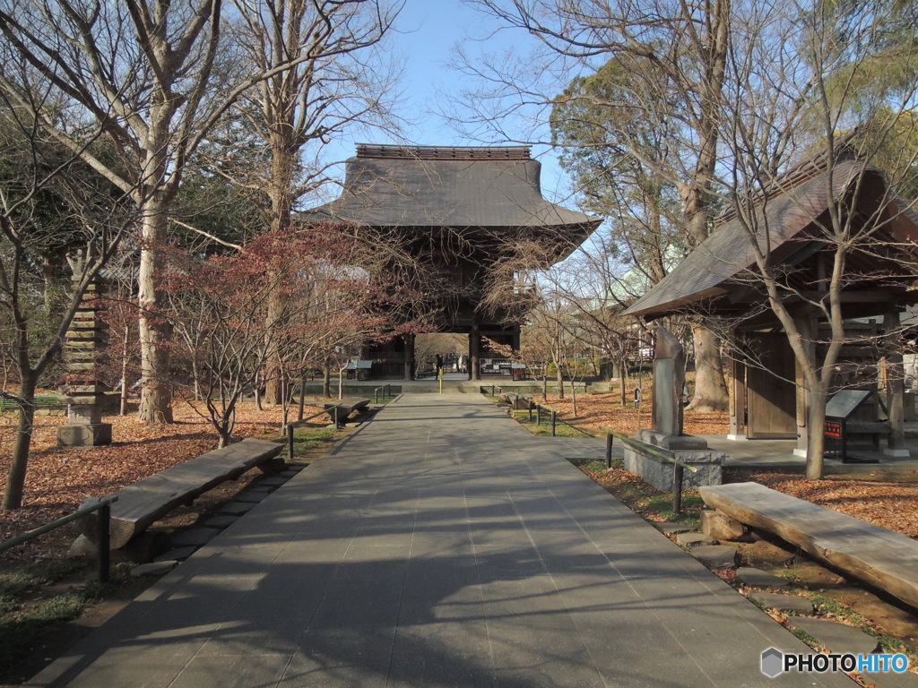 冬の大山門