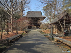 冬の大山門