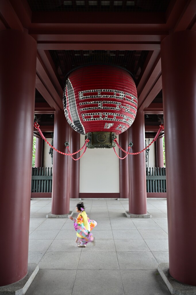今日の大師さん・・・(七五三)