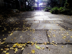 石畳道と落ち葉