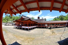 魚眼レンズで撮った厳島