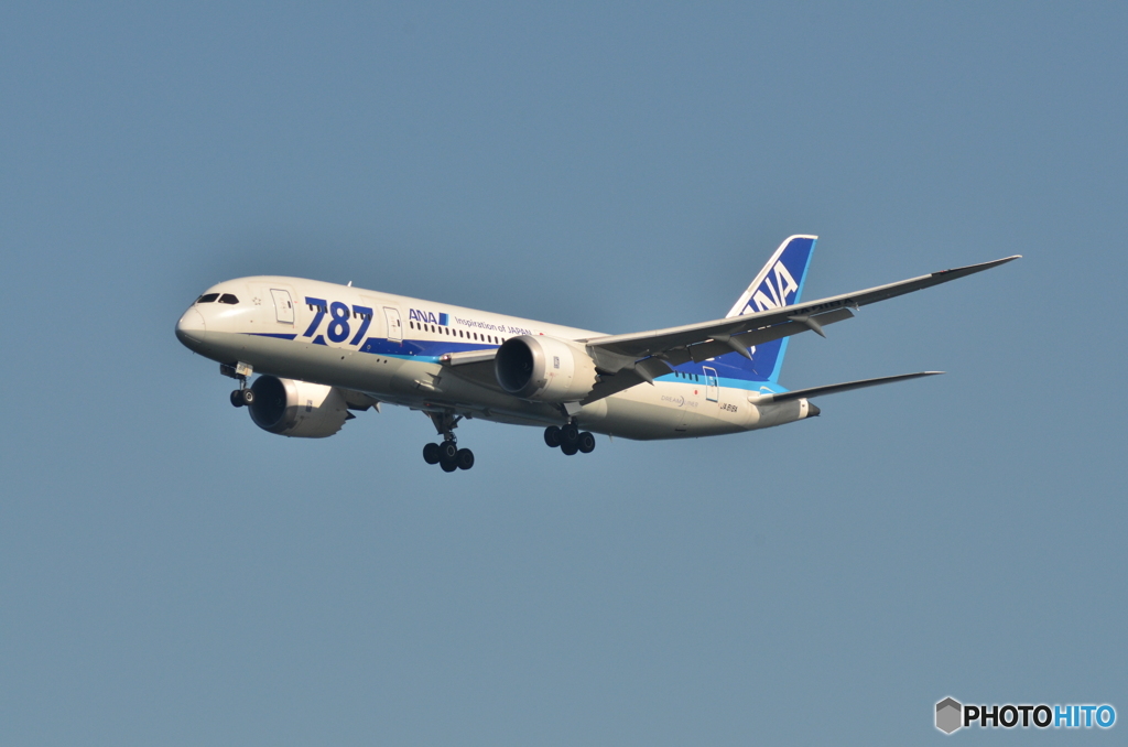 ANA　787